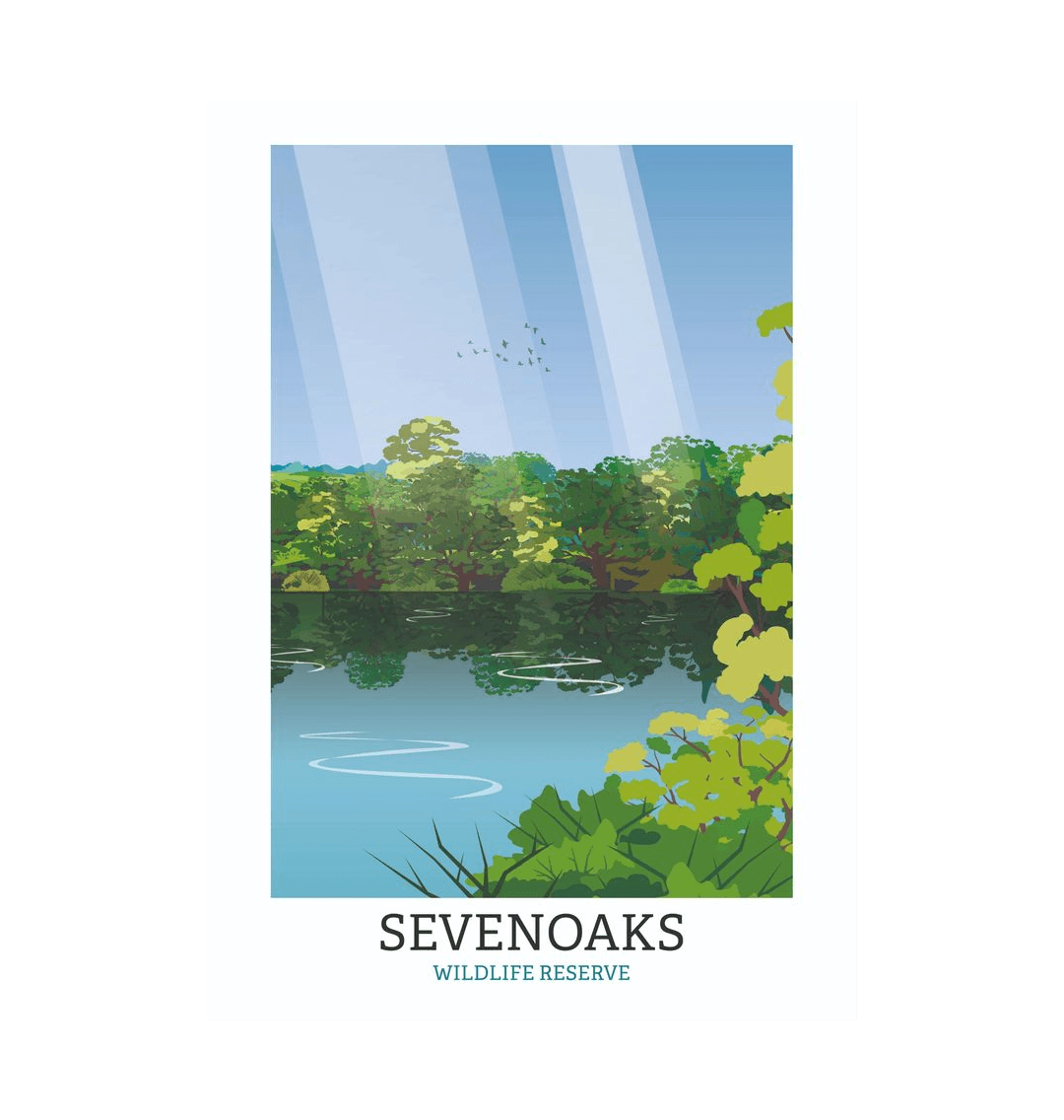 White Sevenoaks Wildlife Reserve Illustrated Print A3