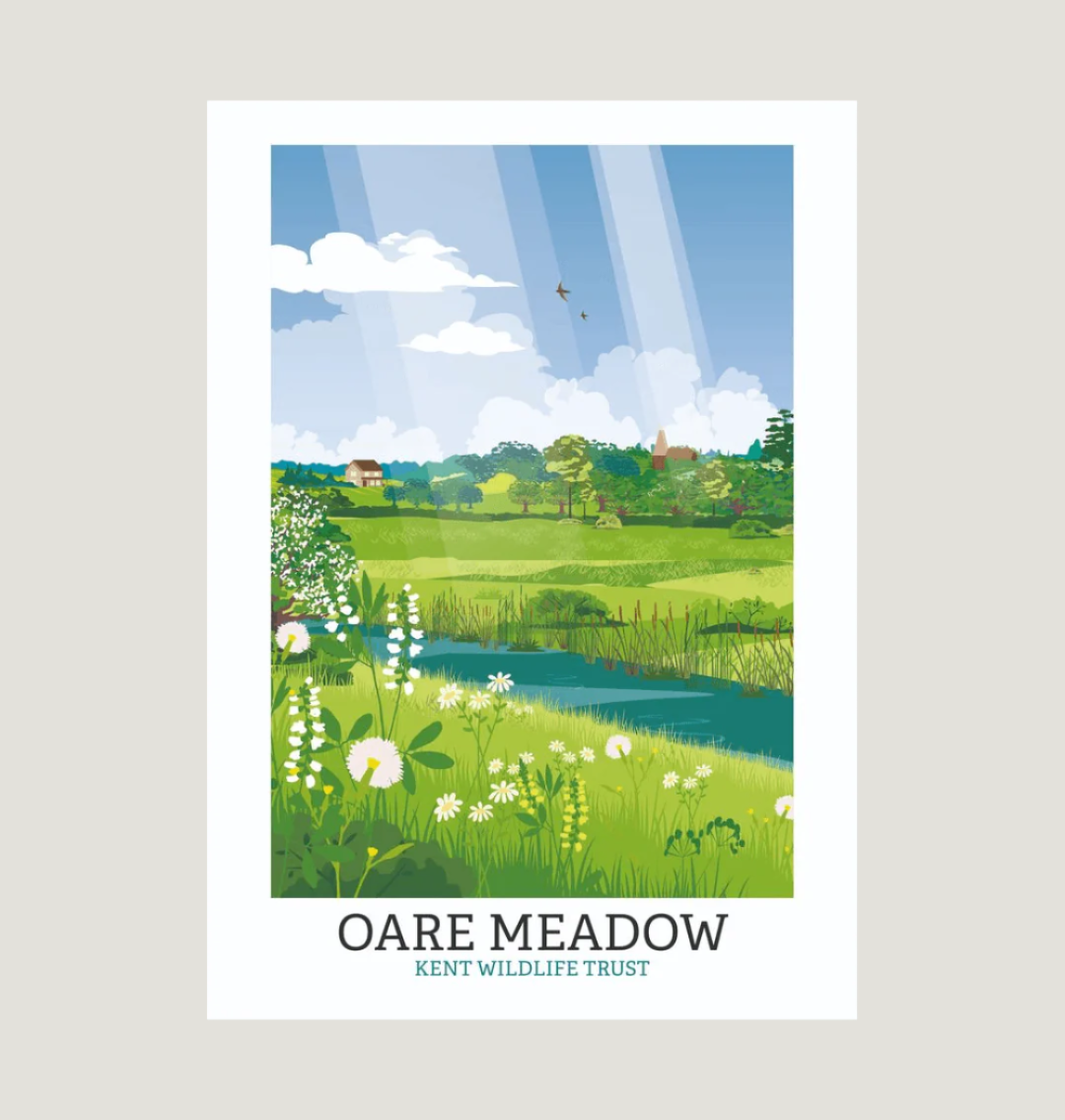 White Oare Meadow Illustrated Print A3
