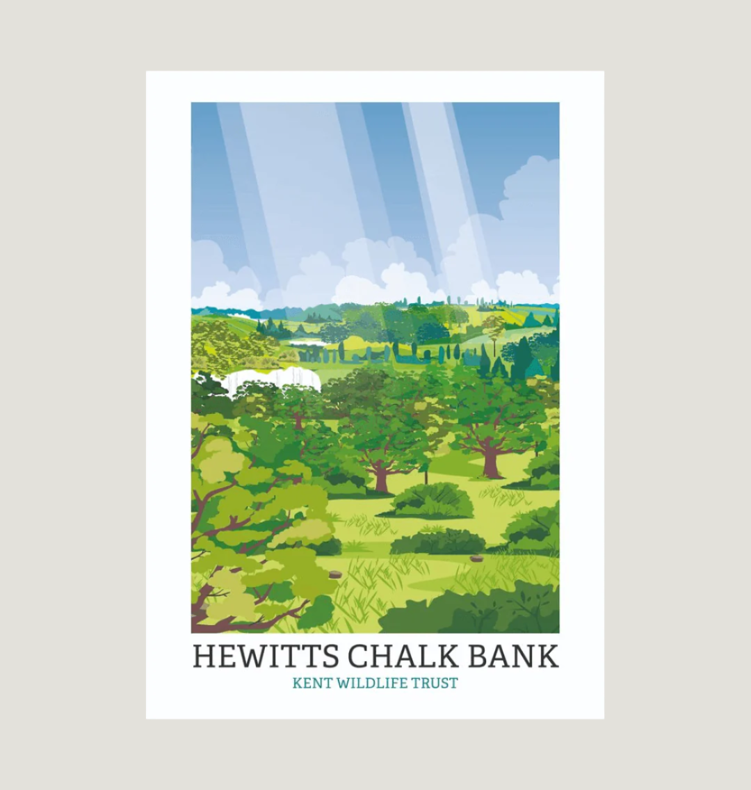 White Hewitts Chalk Bank Illustrated Print A3