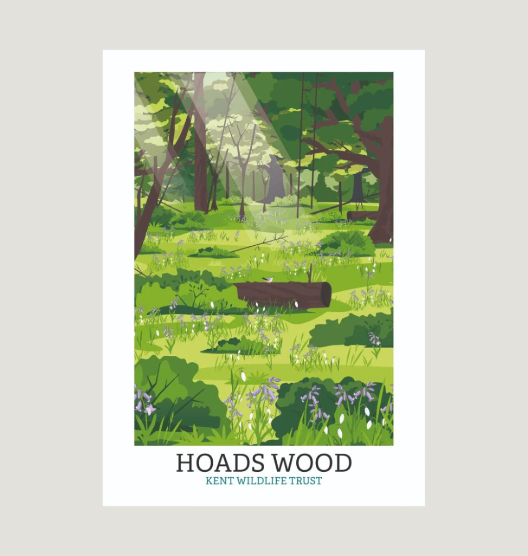 White Hoads Wood Illustrated Print A3