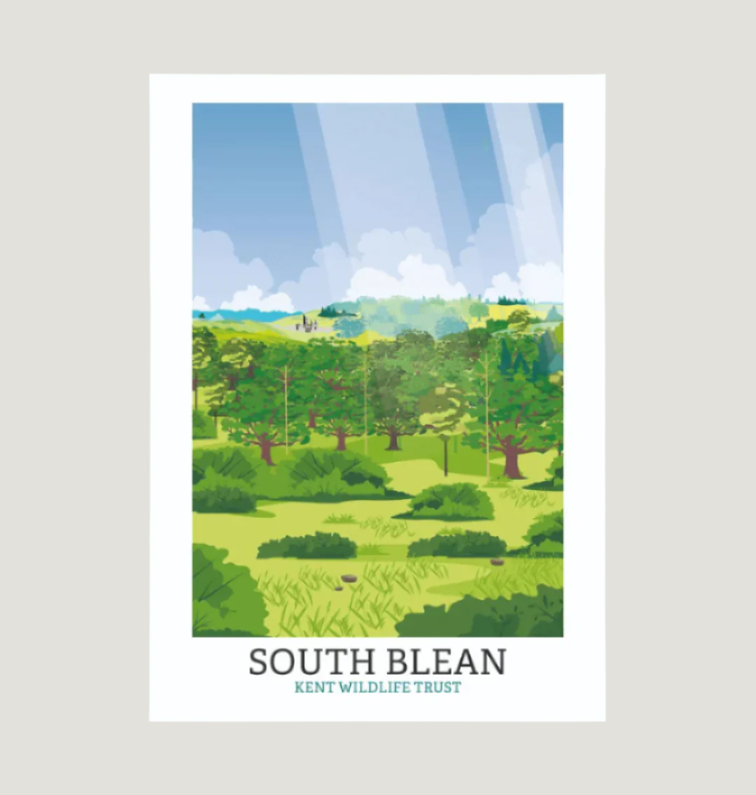 White South Blean Illustrated Print A3