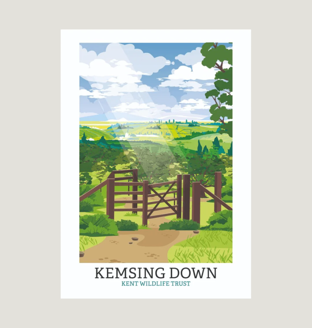 White Kemsing Down Illustrated Print A3