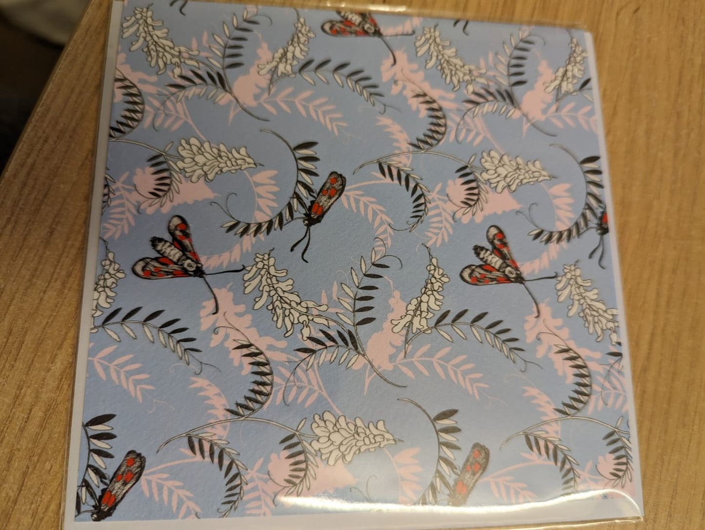 Five-Spot Burnet Moth & Tufted Vetch Greeting Card