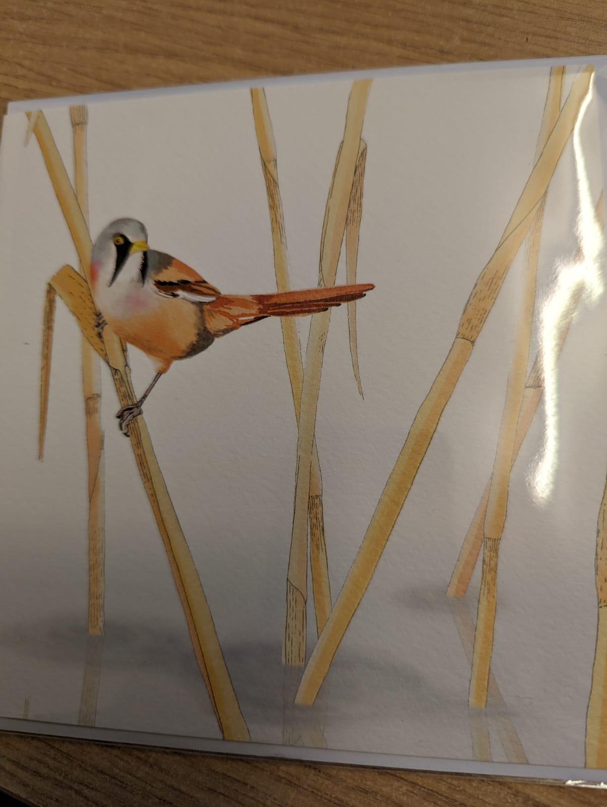 Bearded Tit Greeting Card