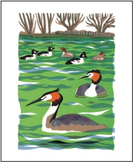Great Crested Grebe and Goldeneye Greeting Card