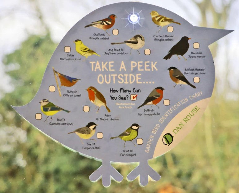 Bird Identity Chart