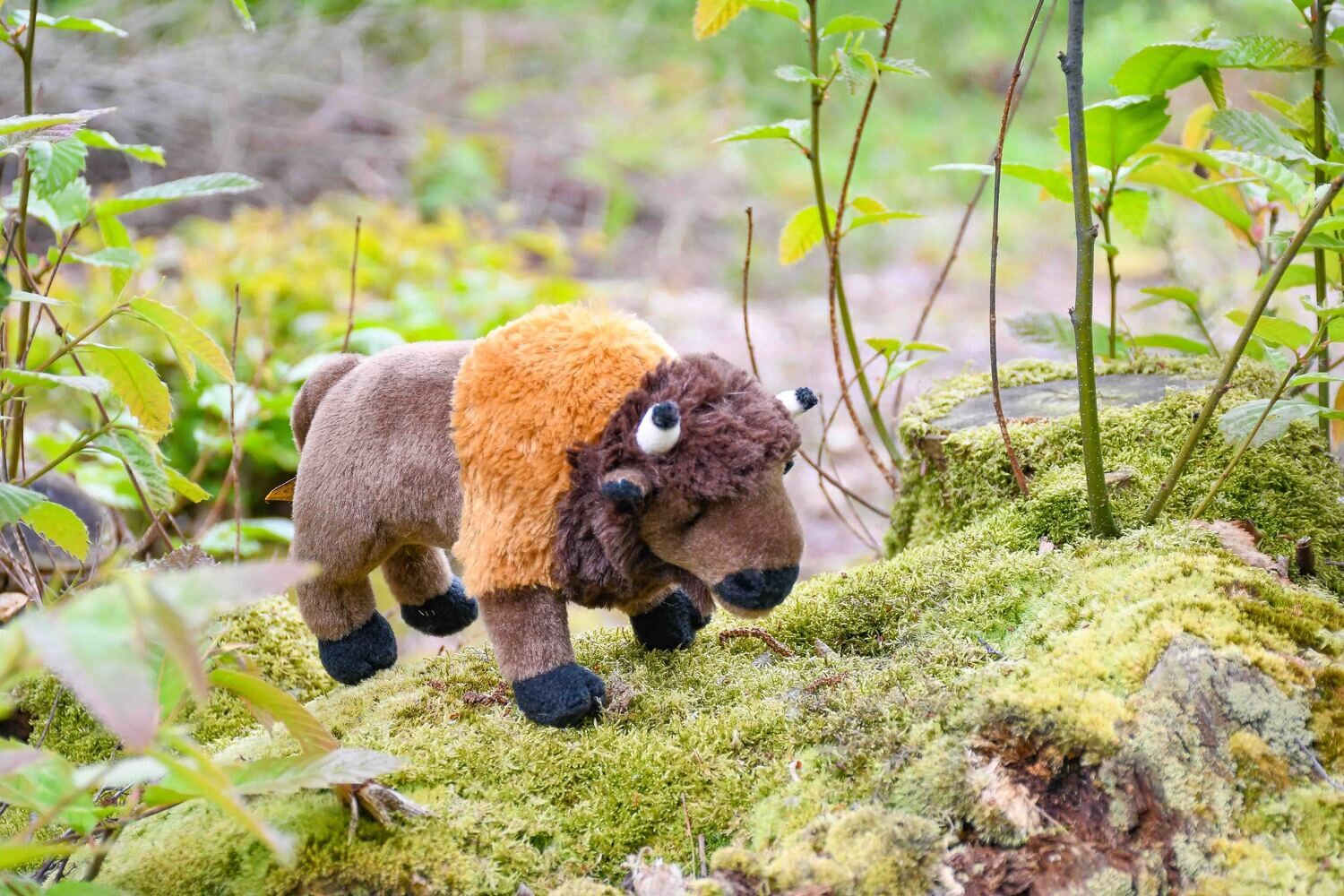 Bison Buffalo Baby Bison Stuffed Animal Wild Republic Cuddlekins