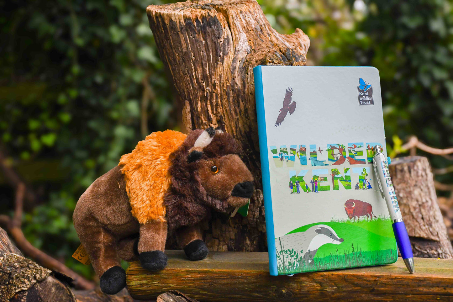 Kids Woodland Pack - Bison Toy