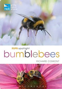 RSPB spotlight Bumblebees