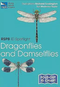 RSPB Spotlight- Dragonflies & Damselflies