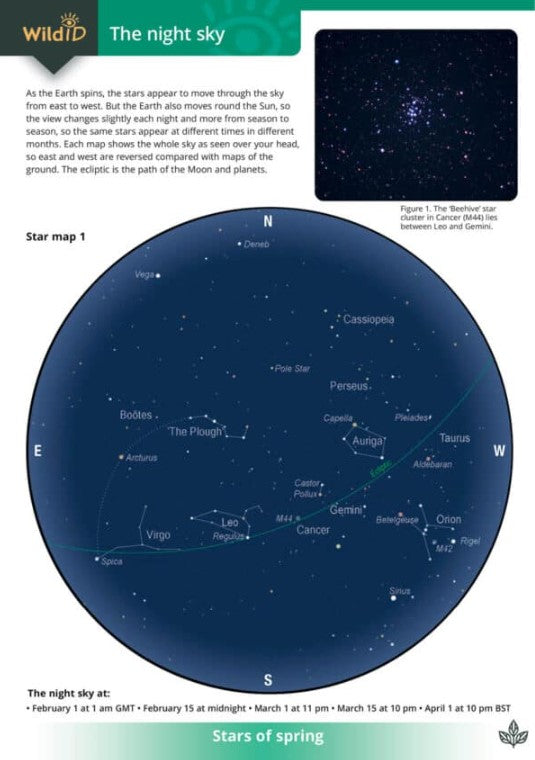 Wild ID Night sky
