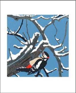 Great Spotted Woodpecker Greeting Card