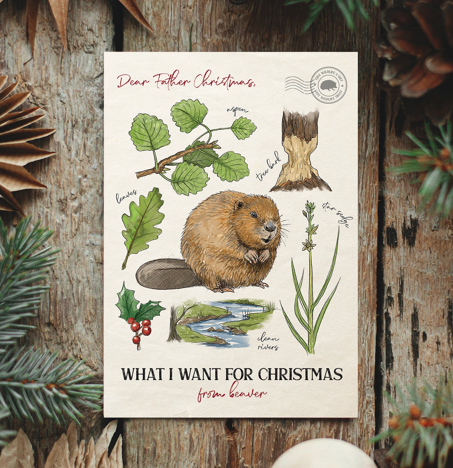 Beaver Christmas Card