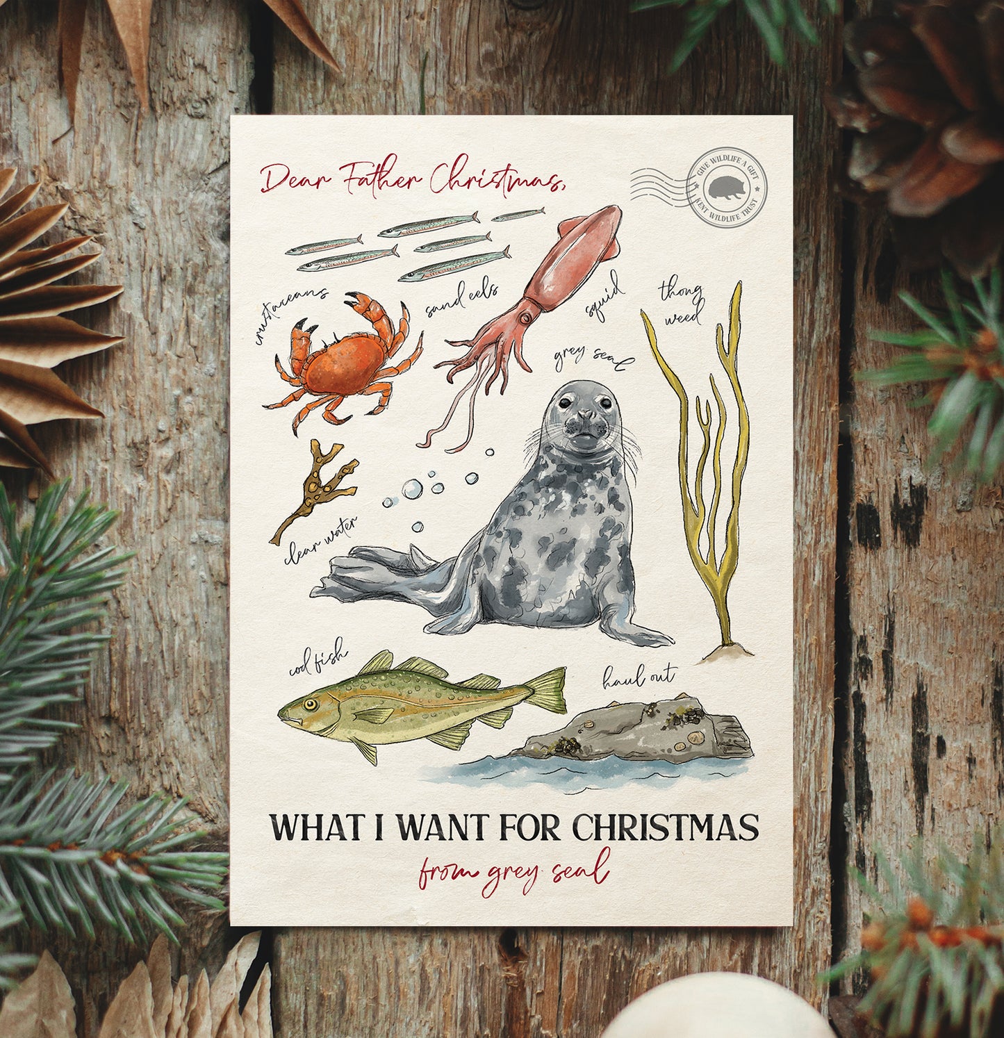 Grey Seal Christmas Card