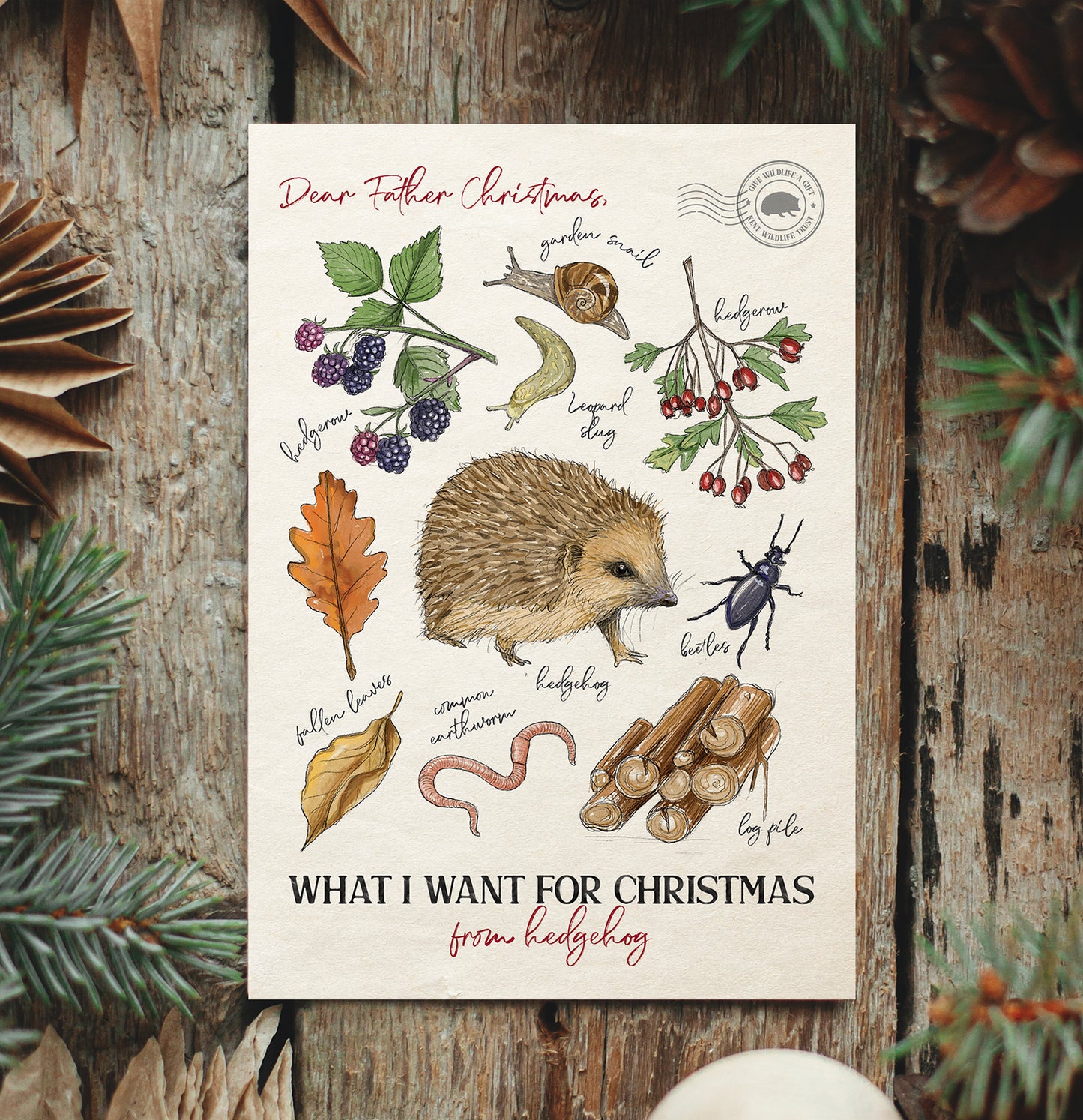 Hedgehog Christmas Card