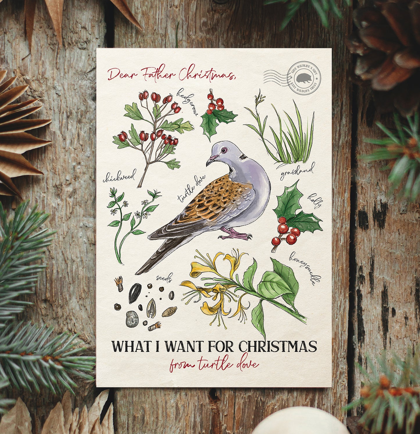Turtle Dove Christmas Card