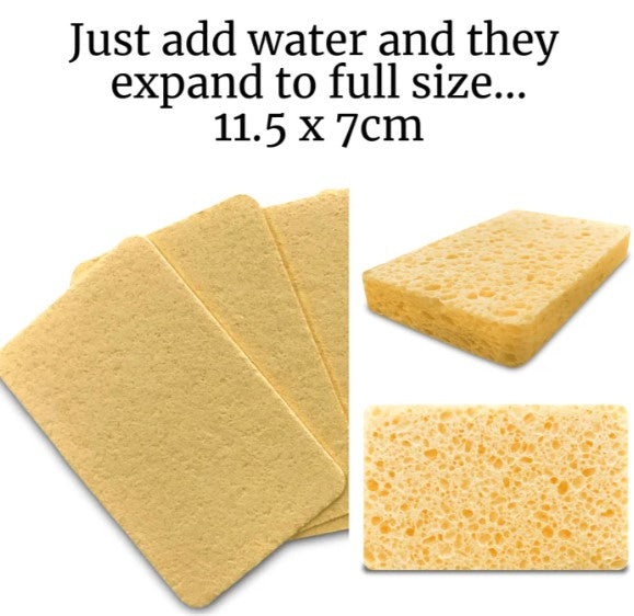 Compostable Cleaning Sponges