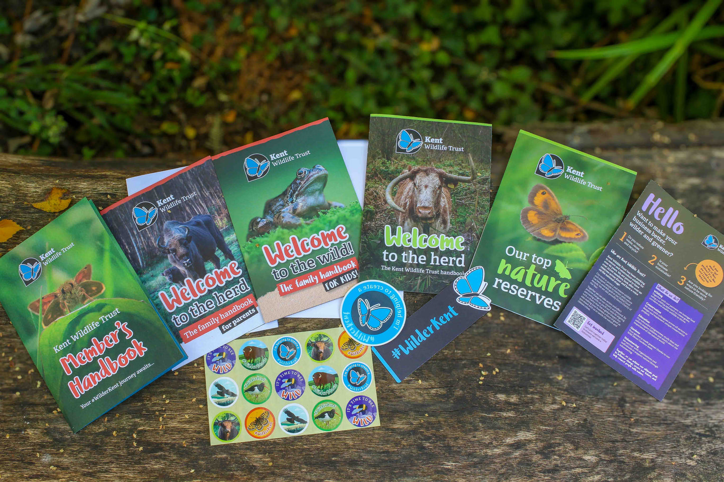 Gift Membership - Individual - 1 Year