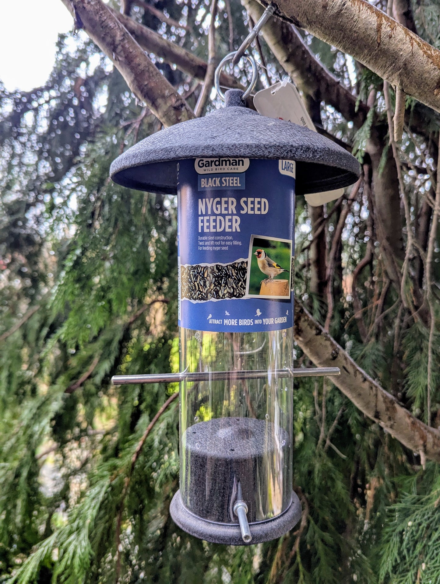 Niger Seed Feeder