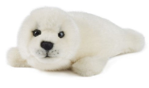 Adopt a Species - Grey Seal
