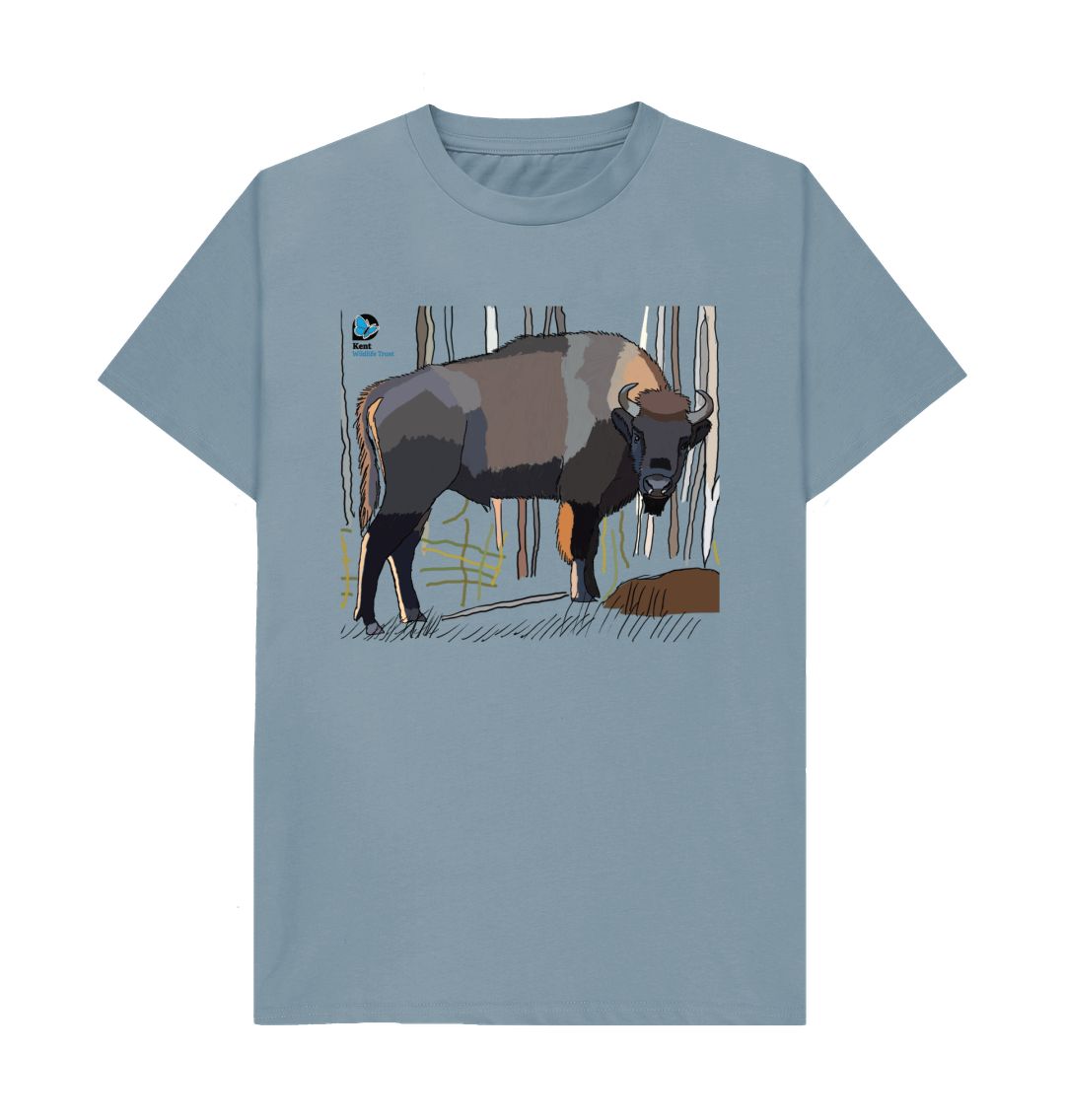 Stone Blue Bison T-Shirt Competition | Over 15's Category | Unisex