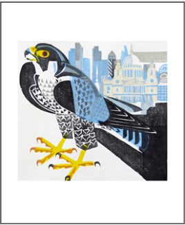 Peregrine Greeting Card