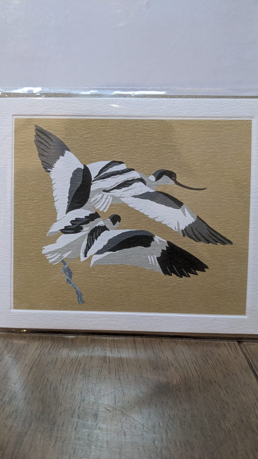 Avocet Chasing Greeting Card
