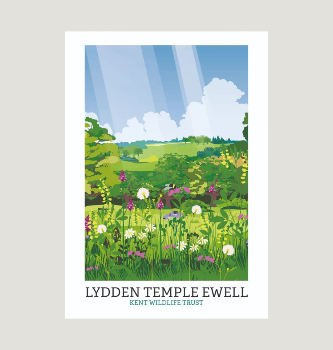 White Lydden Temple Ewell Illustrated Print A3