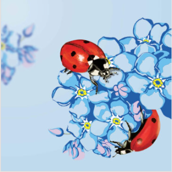 Seven - Spot Ladybird Greeting Card