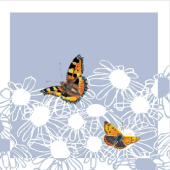 Small Copper and Small Tortoiseshell Greeting Card