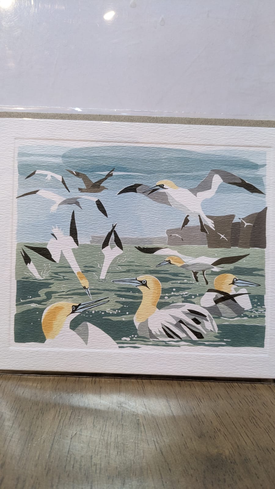 Gannets Greeting Card