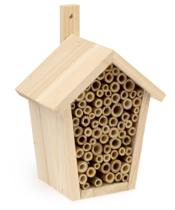 Pinta insect house