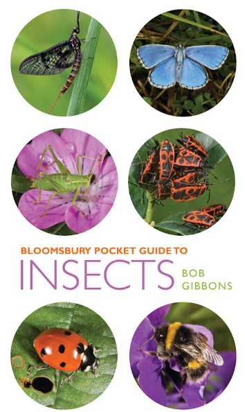 Bloomsbury Pocket Guide to Insects