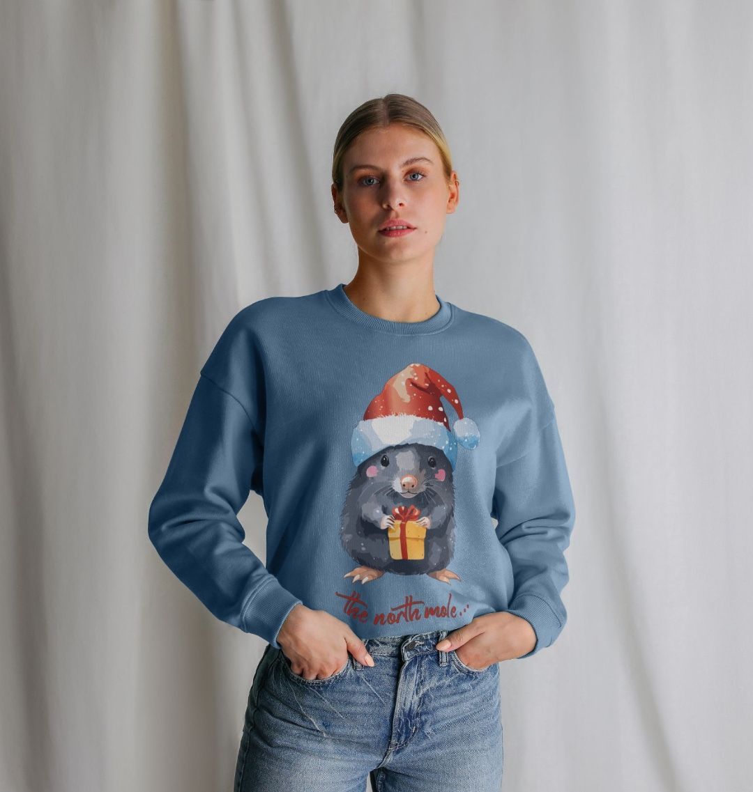 The North Mole Christmas Crewneck - Teemill