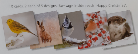 Pack of 10 Mixed Design Christmas Cards - SMALL