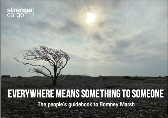 Everywhere Means Something Book