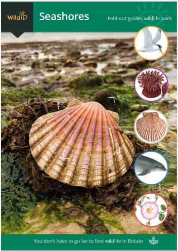 Wild ID Pack Seashores
