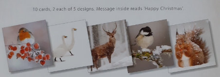 Pack of 10 Mixed Design Christmas Cards - LARGE