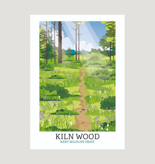 White Kiln Wood Illustrated Print A3