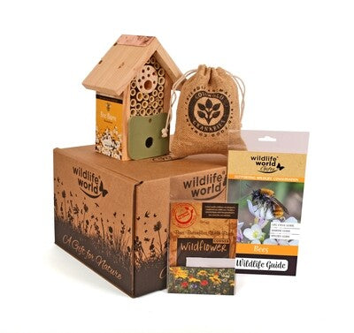 For the Love of Bees Gift Bundle