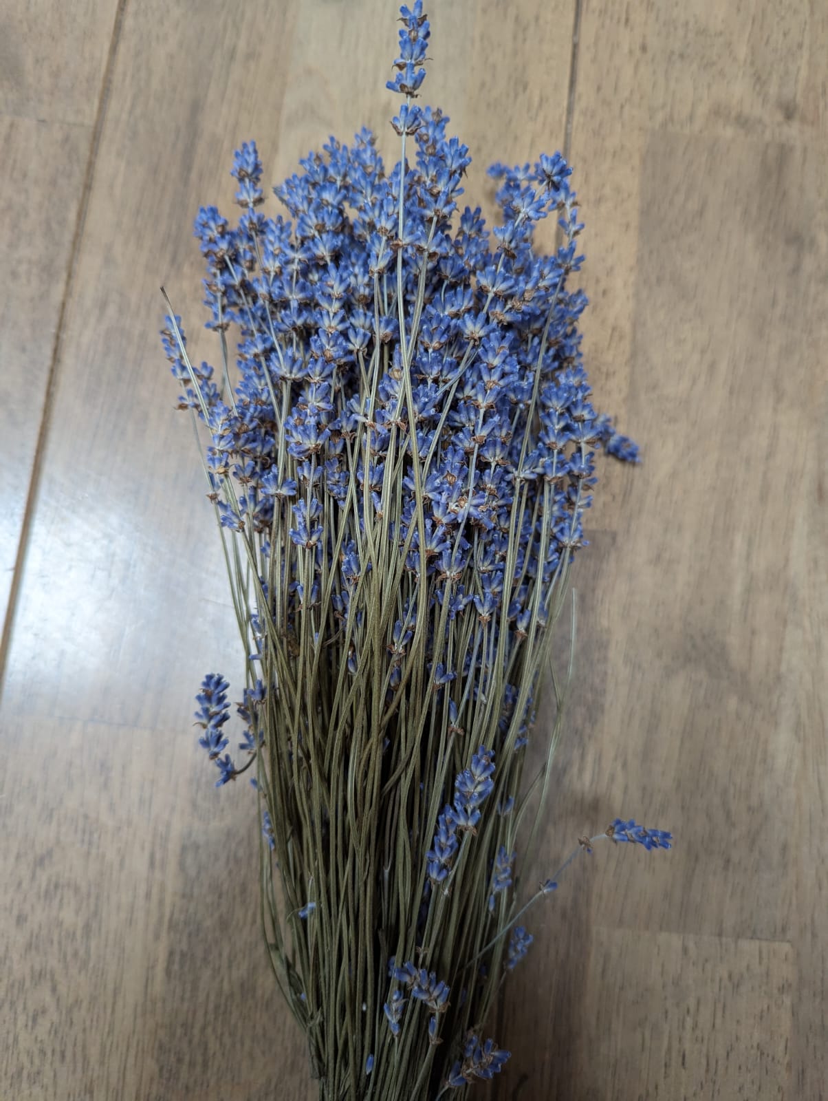 Dried Lavender Bunches