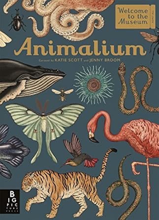 Animalium: Welcome to the Museum