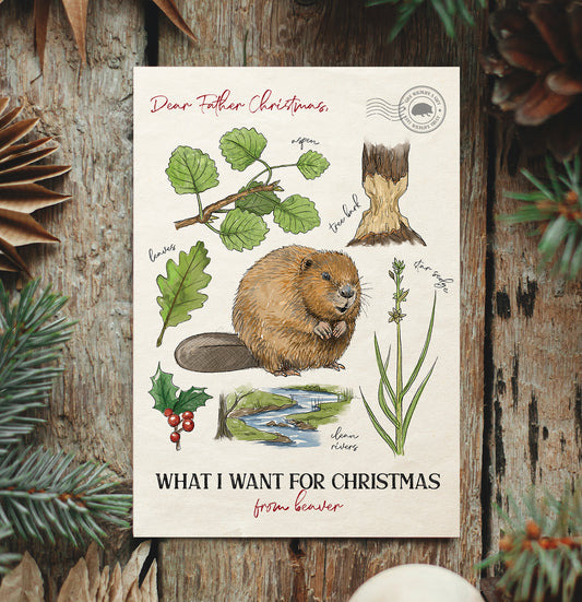 Beaver Christmas Cards (10 pack)