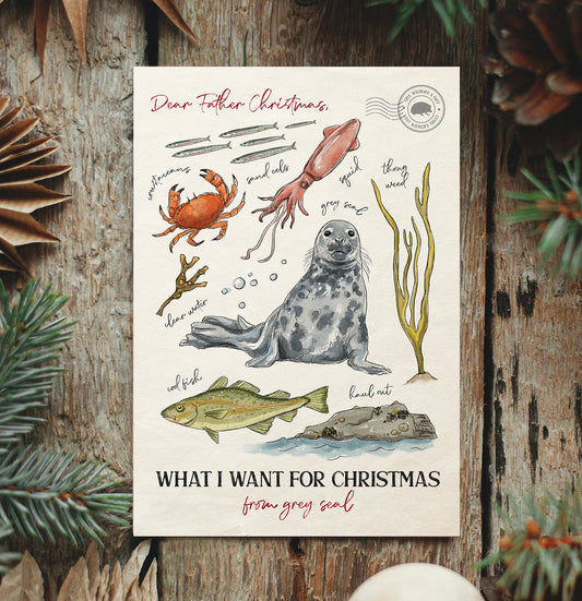 Grey Seal Christmas Cards (10 pack)