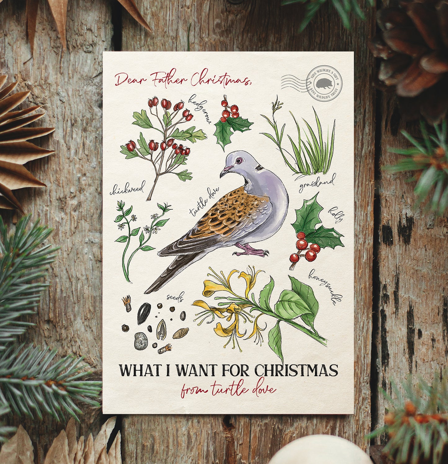 Turtle Dove Christmas Cards (10 pack)