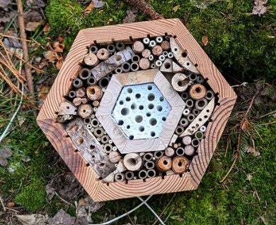 Luxury Honeycomb Bee Hotel