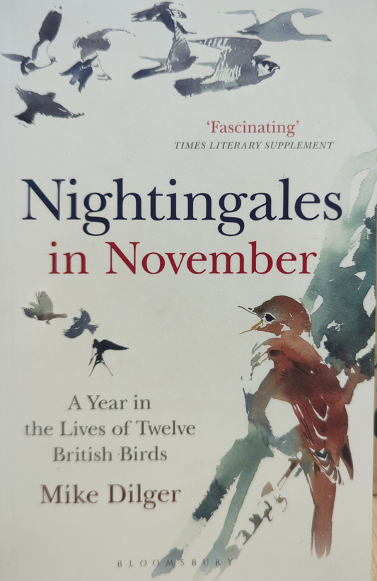 Nightingales in November