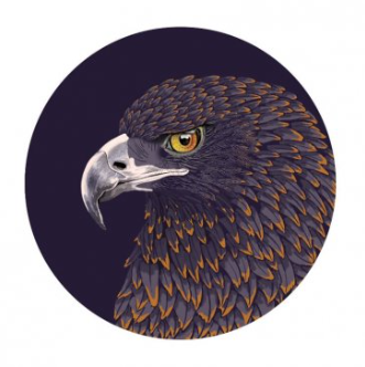 Golden Eagle Foil Greeting Card