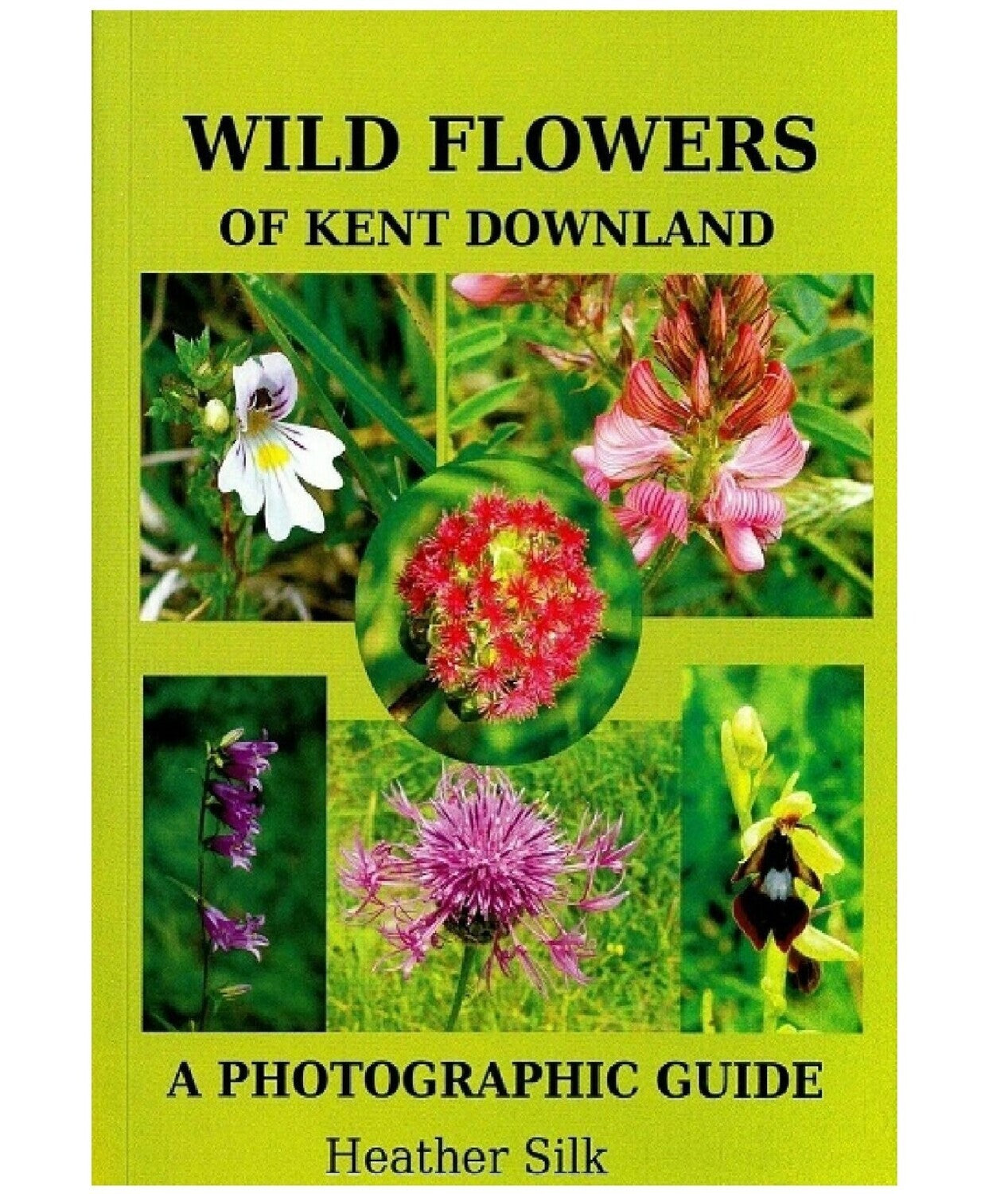 Wild Flowers of Kent Downland Book