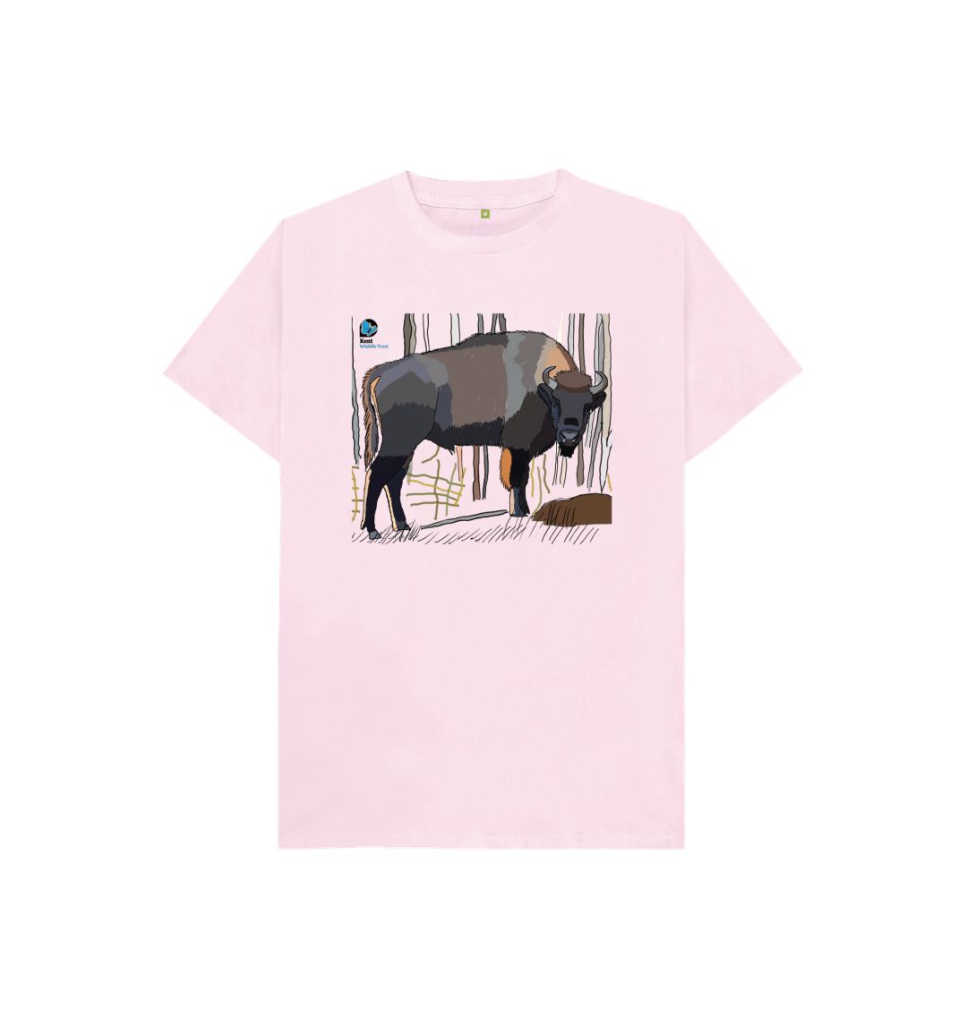 Pink Bison T-Shirt Competition | Over 15's Category | Children